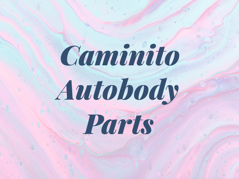 El Caminito Autobody Parts