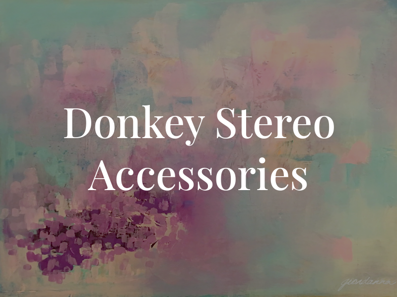 El Donkey Stereo and Accessories