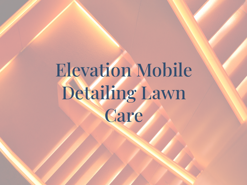 Elevation Mobile Detailing and Lawn Care