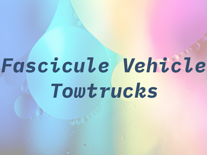 Fascicule Vehicle Towtrucks LLC