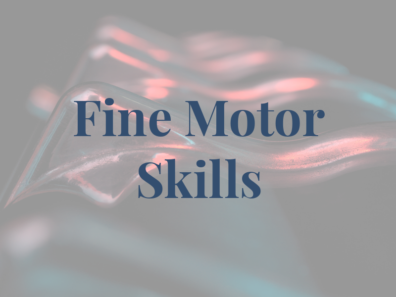 Fine Motor Skills