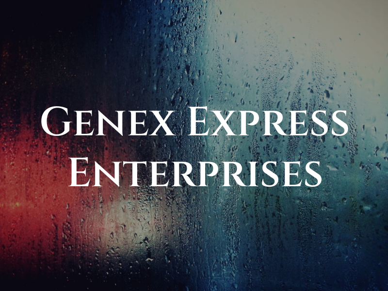 Genex Express Enterprises Inc