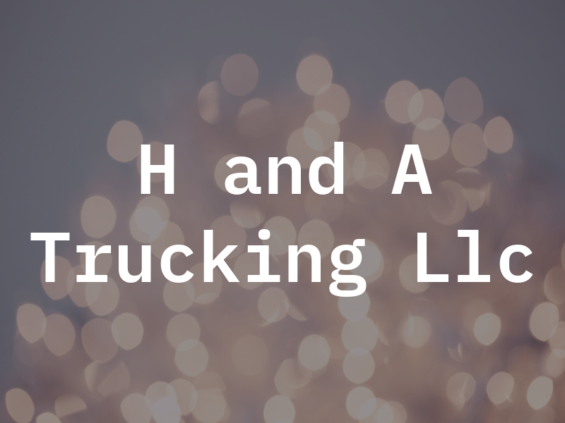H and A Trucking Llc