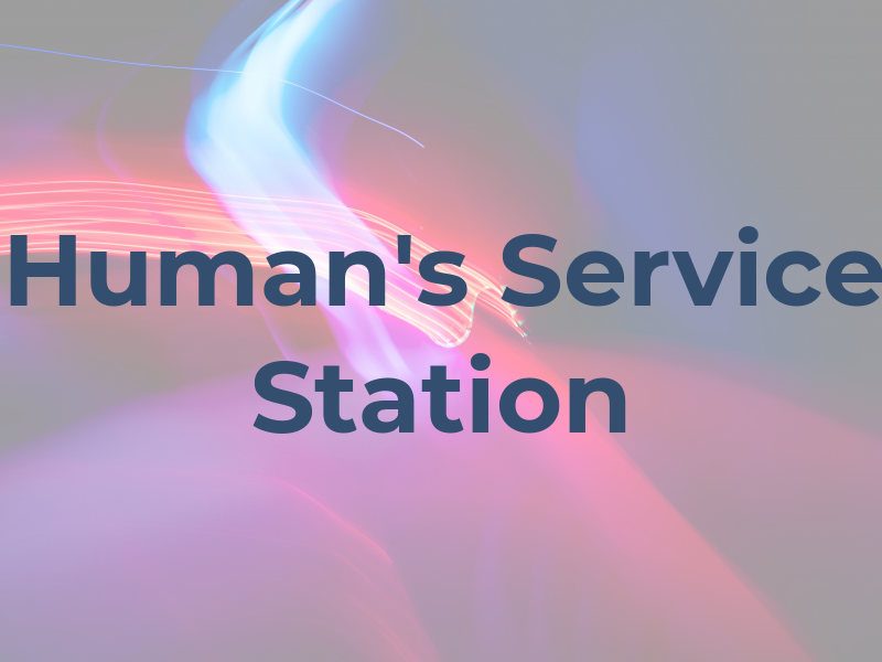 Human's Ray BP Service Station