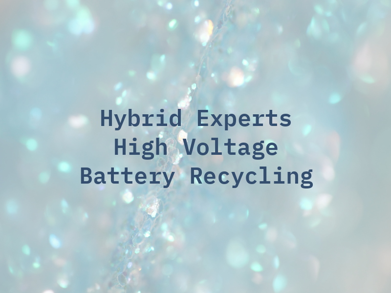 Hybrid Experts High Voltage Battery Recycling