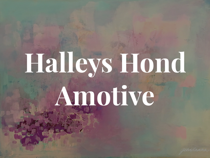Halleys Hond Amotive