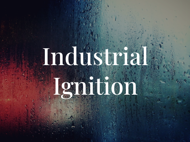 Industrial Ignition