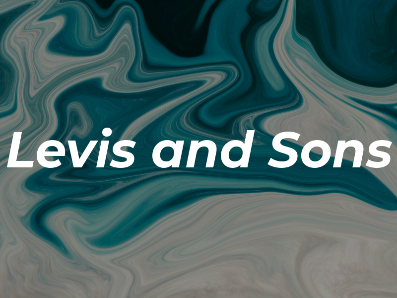 Levis and Sons