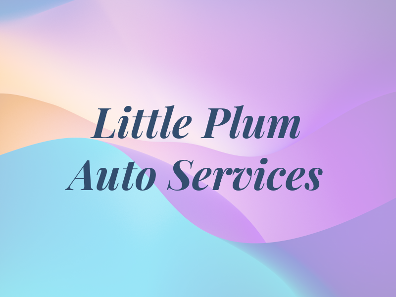 Little Plum Auto Services