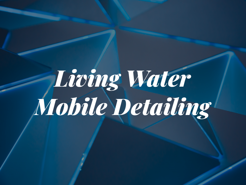 Living Water Mobile Detailing