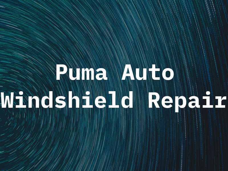 Puma Auto Windshield Repair