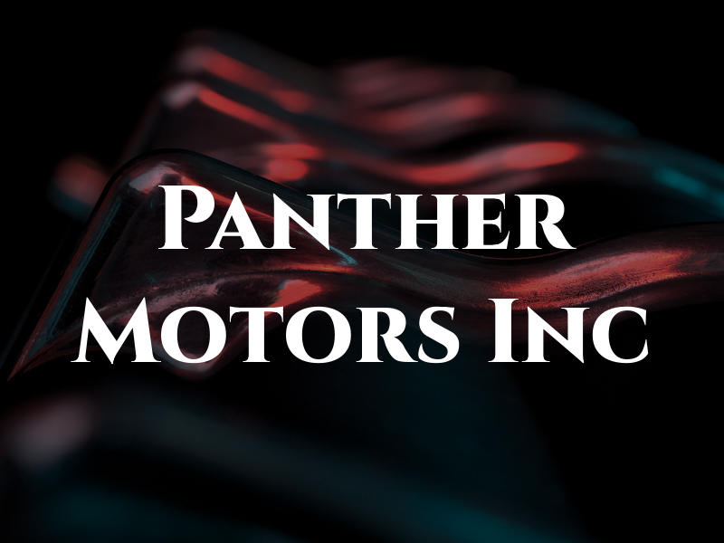 Panther Motors Inc