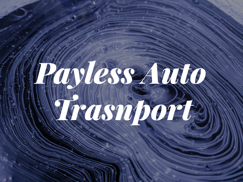 Payless Auto Trasnport