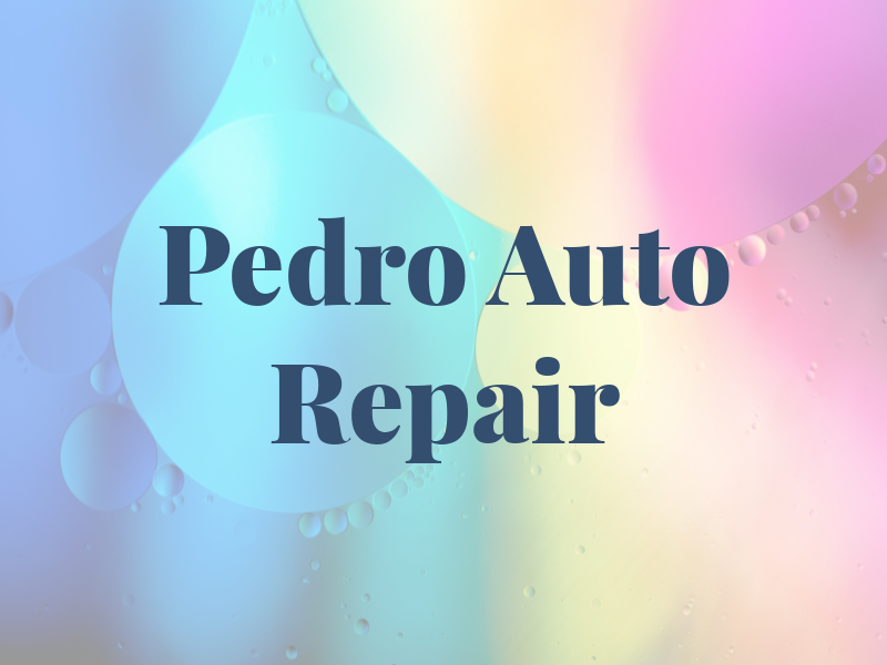 Pedro Auto Repair