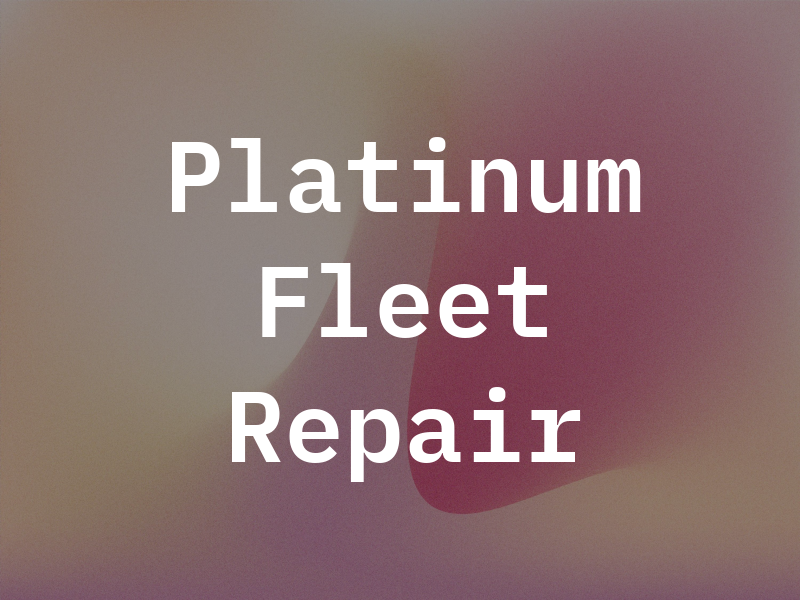 Platinum Fleet Repair Inc