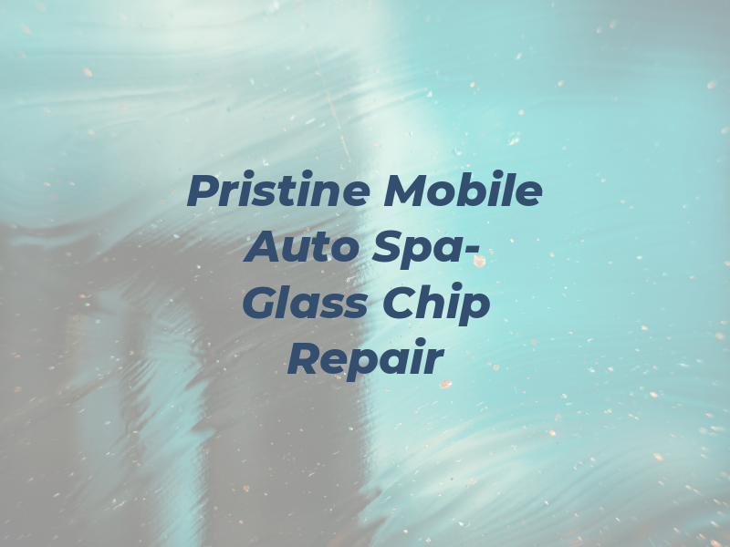 Pristine Mobile Auto Spa- Glass Chip Repair