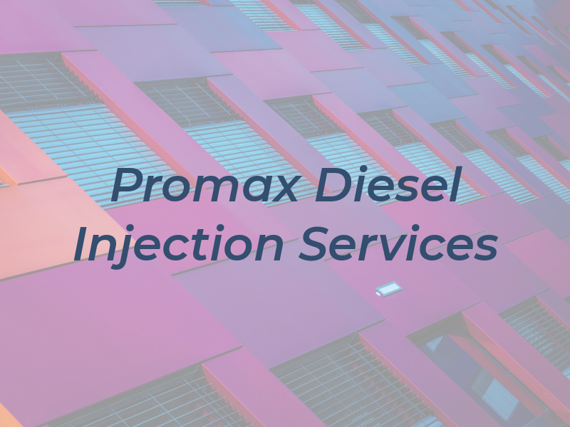 Promax Diesel Injection Services