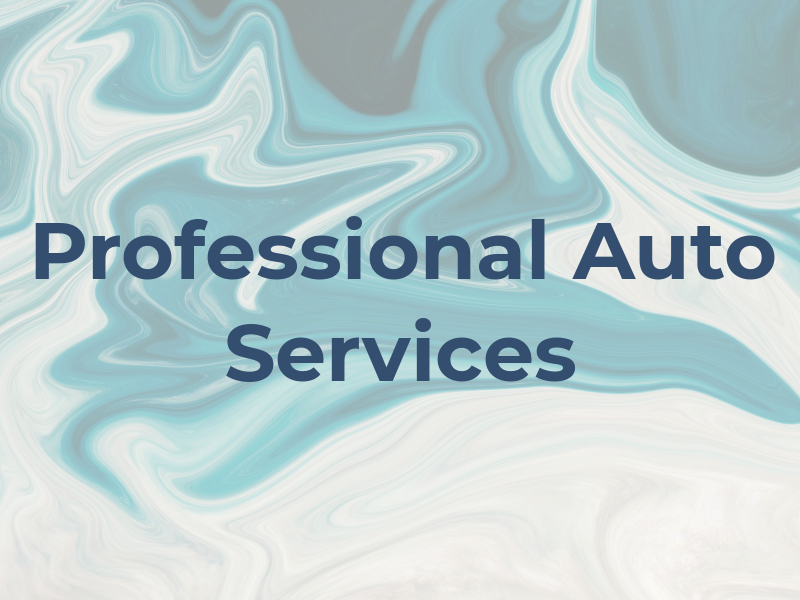 Professional Auto Services