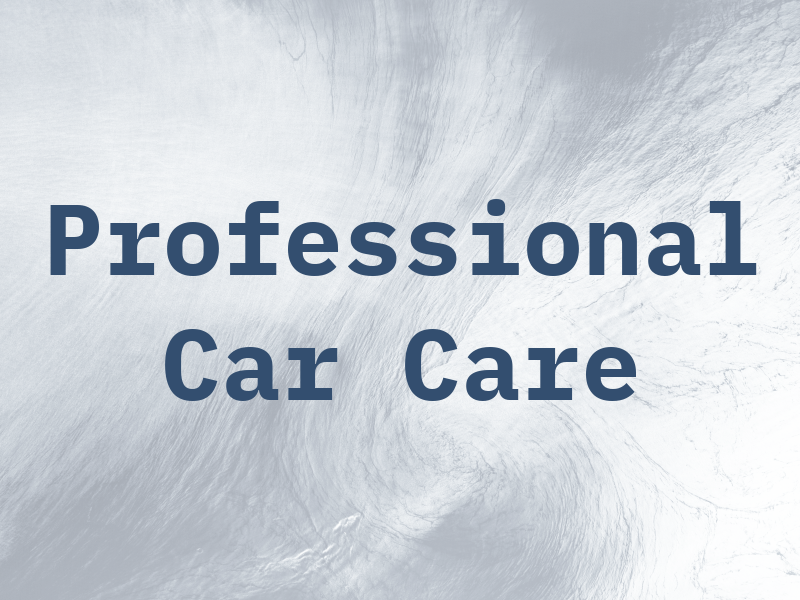 Professional Car Care