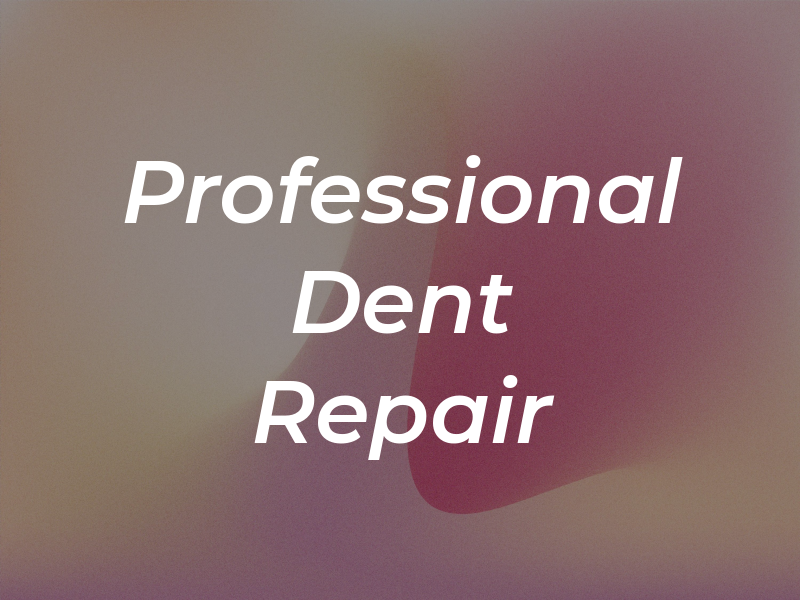 Professional Dent Repair