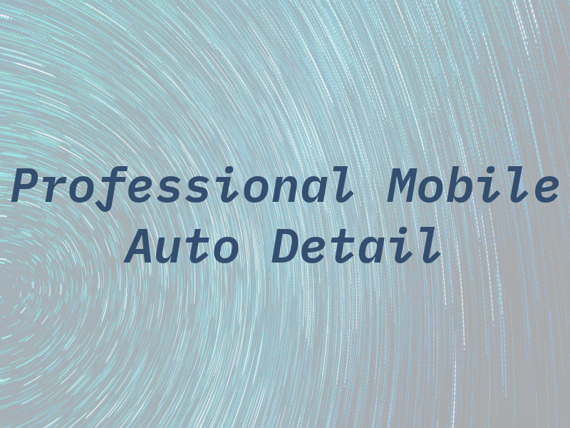 Professional Mobile Auto Detail