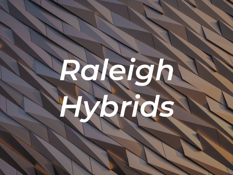 Raleigh Hybrids