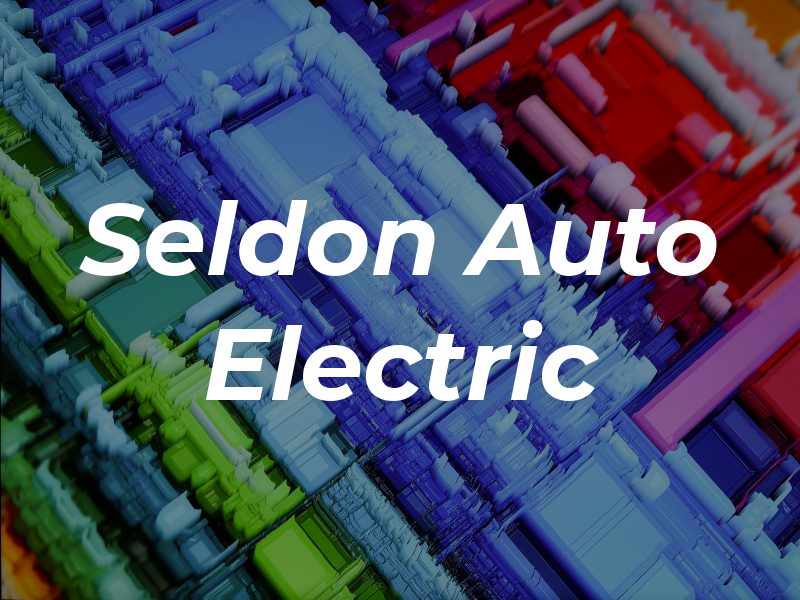 Seldon Auto Electric Inc