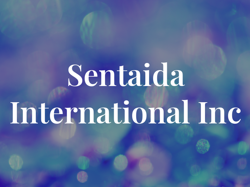 Sentaida International Inc