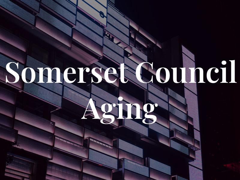 Somerset Council On Aging
