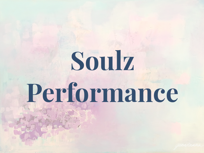 Soulz Performance