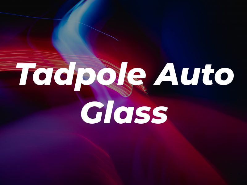 Tadpole Auto Glass