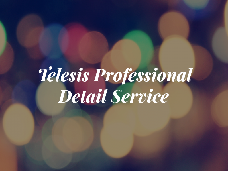 Telesis Professional Detail Service