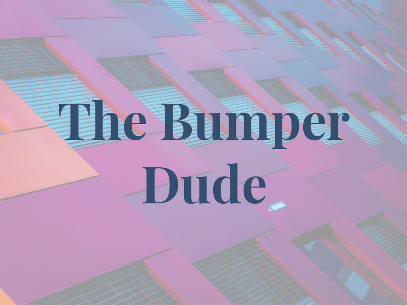 The Bumper Dude