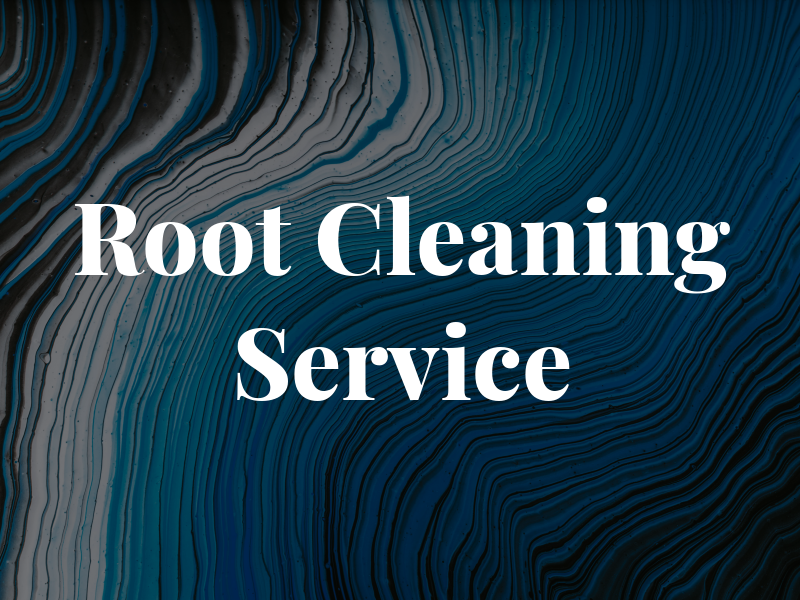 The Root Cleaning Service