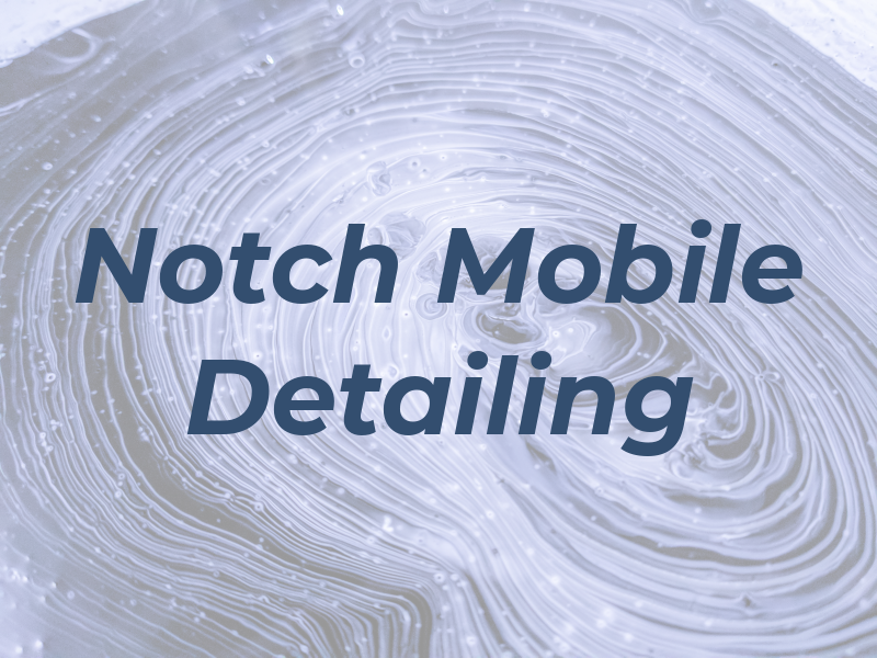 Top Notch Mobile Detailing