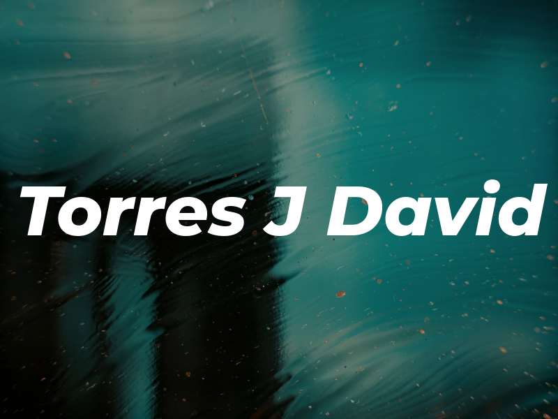 Torres J David