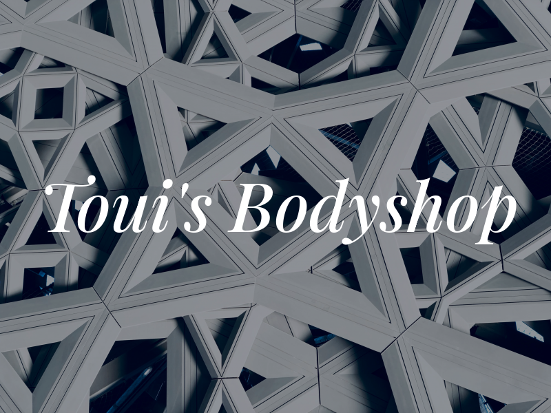 Toui's Bodyshop