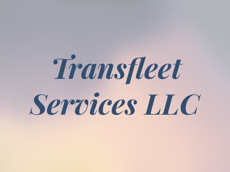 Transfleet Services LLC
