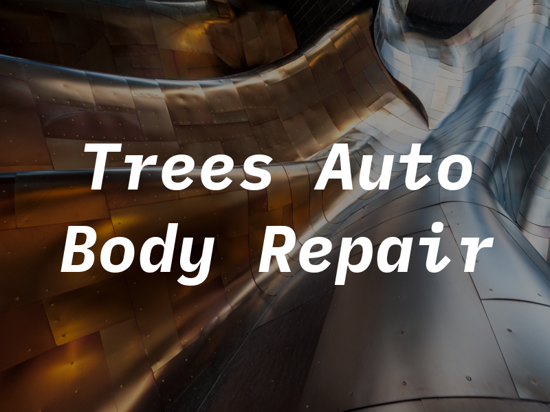 Trees and Son Auto Body Repair Llc