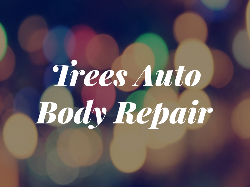 Trees and Son Auto Body Repair Llc