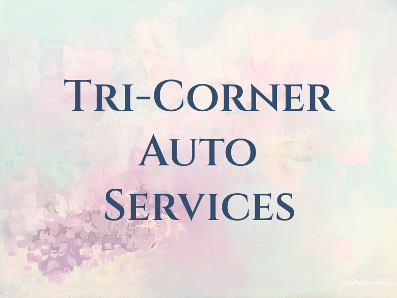 Tri-Corner Auto Services Inc