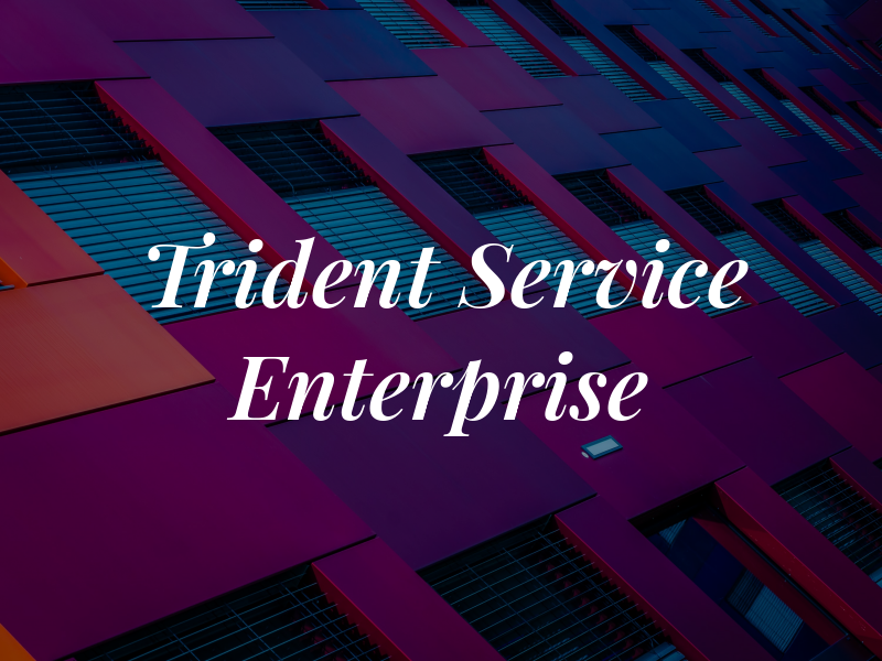 Trident Service and Enterprise Co