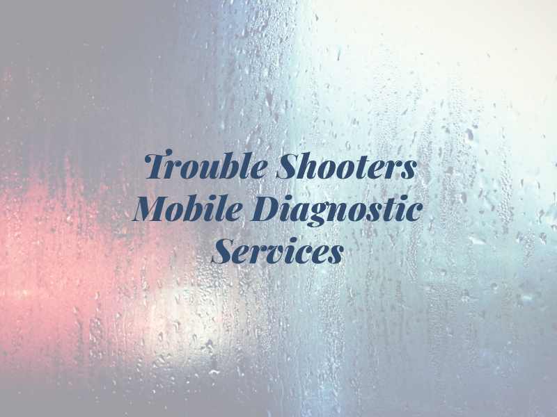 Trouble Shooters Mobile Diagnostic Services LLC