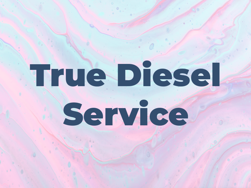True ONE Diesel Service