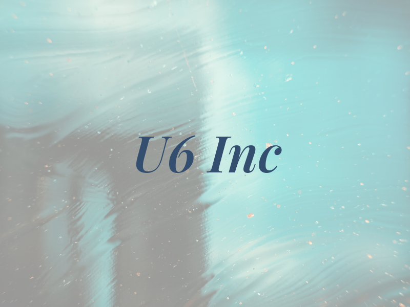 U6 Inc