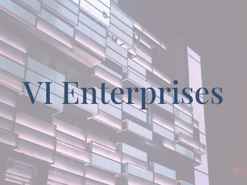 VI Enterprises