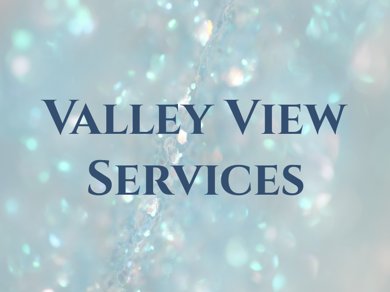 Valley View Services
