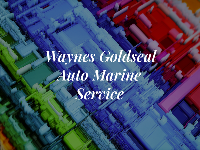 Waynes Goldseal Auto rv Marine Service