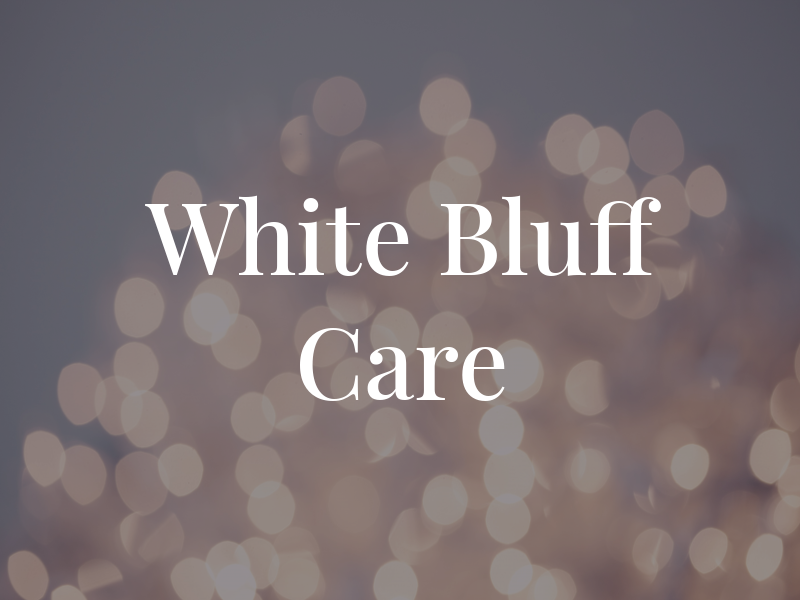 White Bluff Car Care Inc