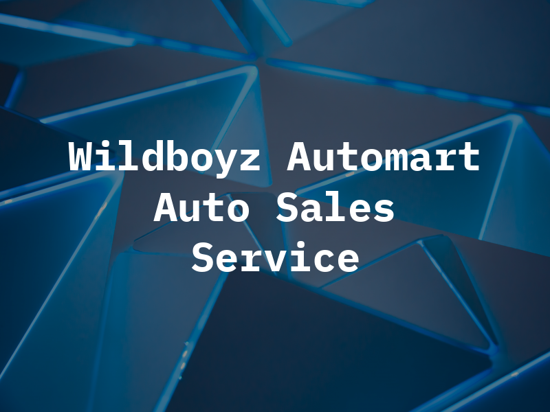 Wildboyz Automart Auto Sales & Service